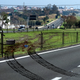 Image for article titled Apologetic City Officials Admit Expressway Median Wasn’t Best Location For Off-Leash Dog Park